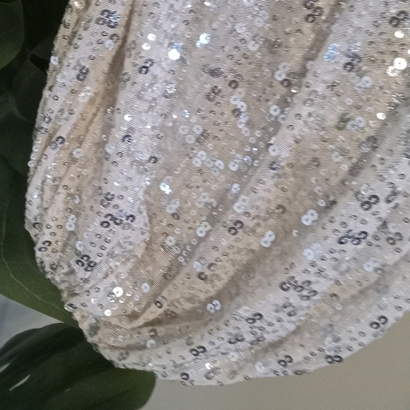 Vici Sequin Platinum balloon sleeve Dress Size M - Picture 4 of 15